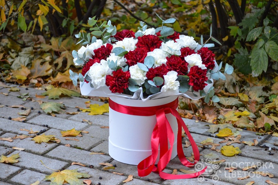 Цветы в коробке Белые и бордовые гвоздики