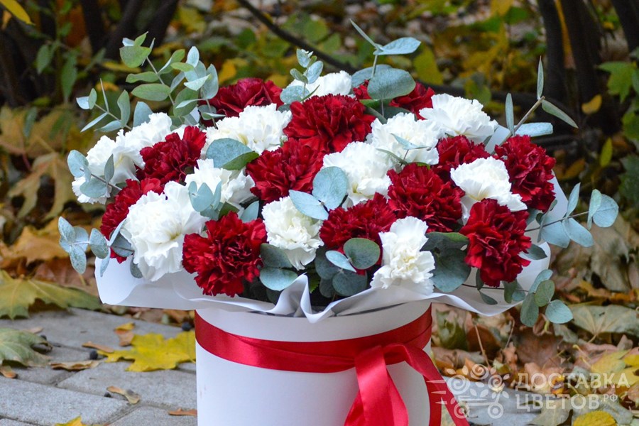 Цветы в коробке Белые и бордовые гвоздики