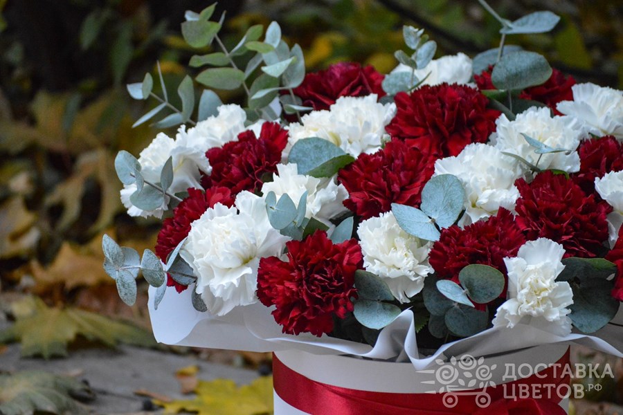 Цветы в коробке Белые и бордовые гвоздики