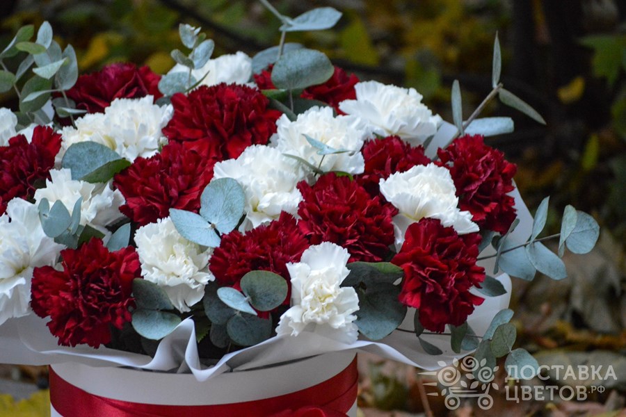 Цветы в коробке Белые и бордовые гвоздики