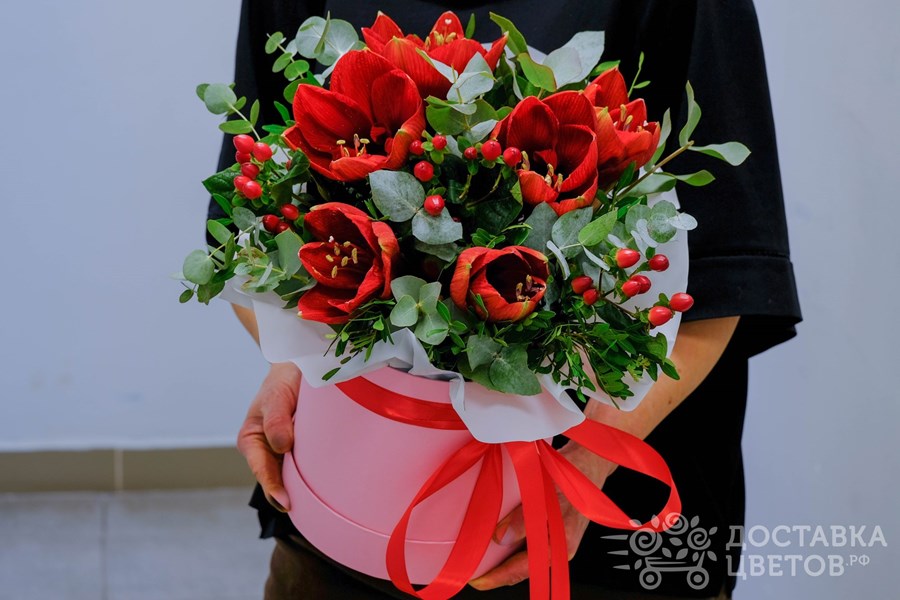 Цветы в коробке Красные амариллисы