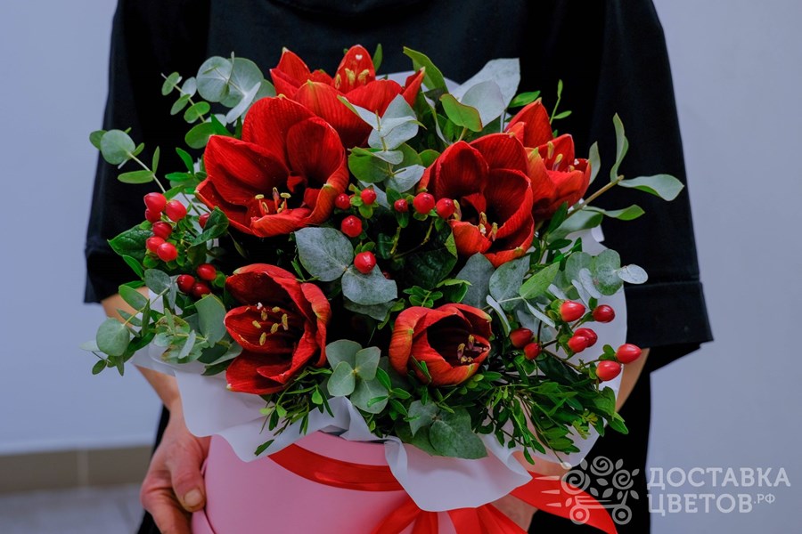 Цветы в коробке Красные амариллисы