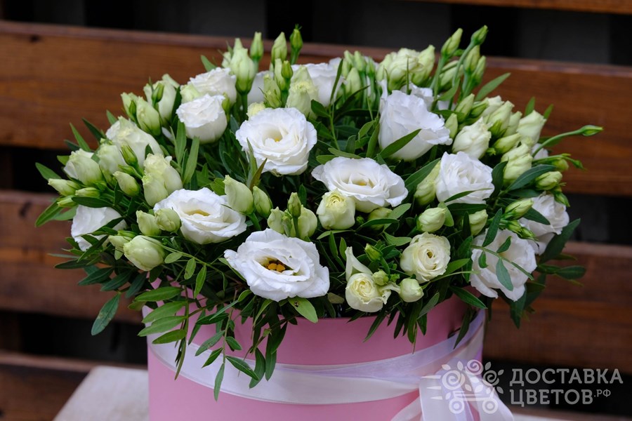 Цветы в коробке Белая эустома в коробке