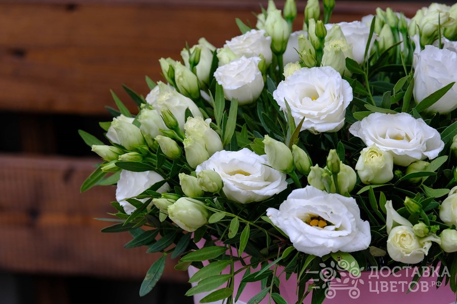 Цветы в коробке Белая эустома в коробке