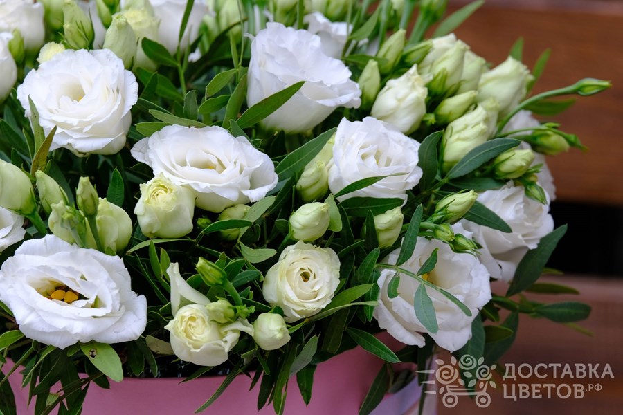 Цветы в коробке Белая эустома в коробке