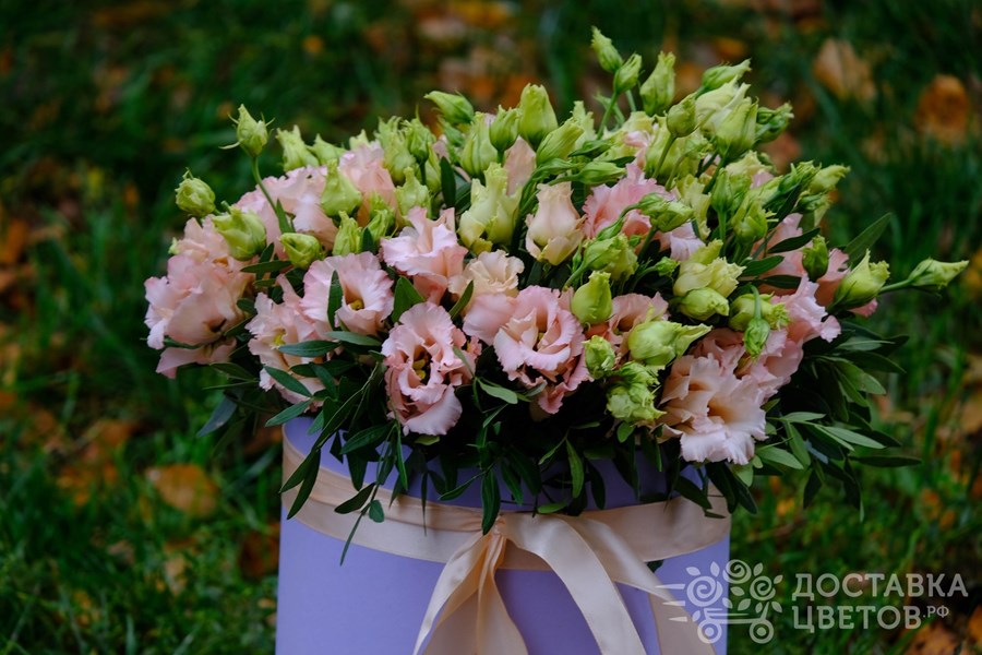 Цветы в коробке Персиковая эустома в коробке