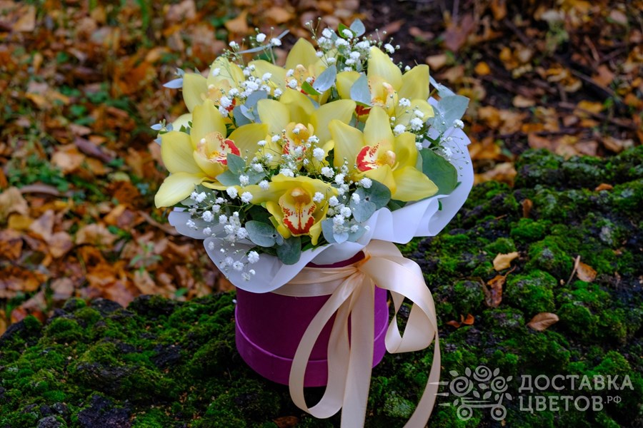 Цветы в коробке Золотое царство