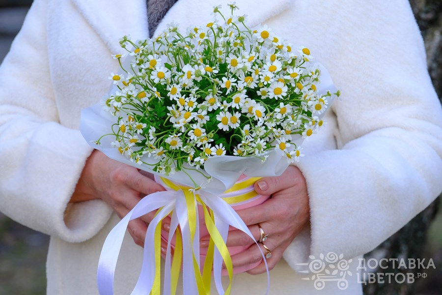 Цветы в коробке Ромашки на лугу