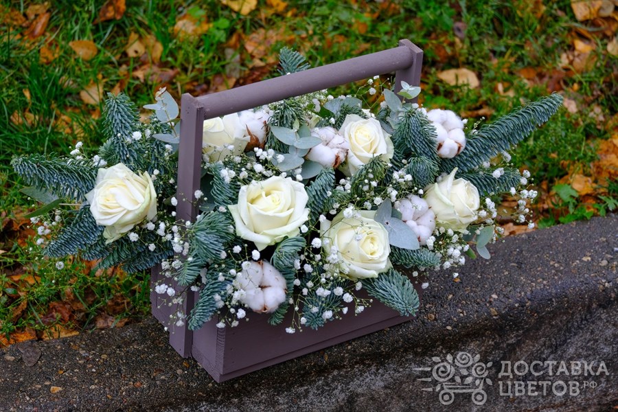 Цветы в ящике Ледяная роза