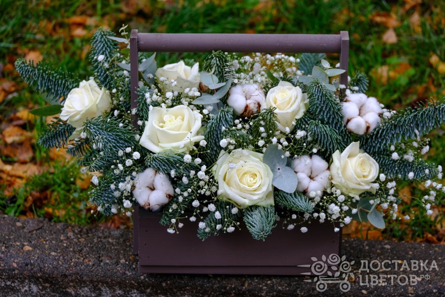 Цветы в ящике Ледяная роза