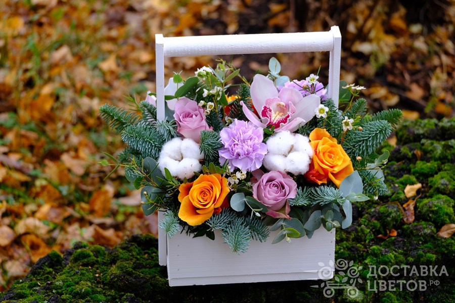 Цветы в ящике Искры самоцветов