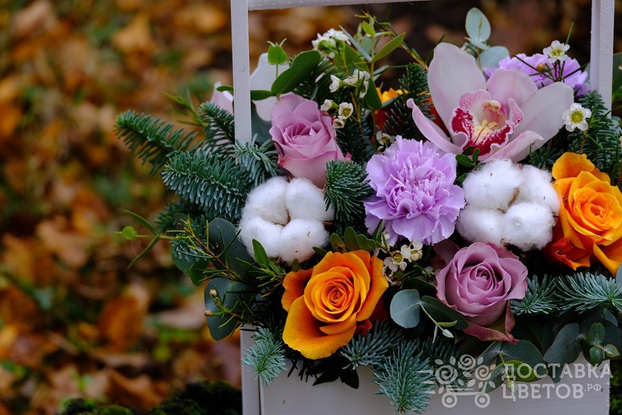 Цветы в ящике Искры самоцветов