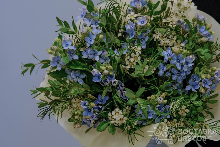 Цветы в коробке Васильковая поляна