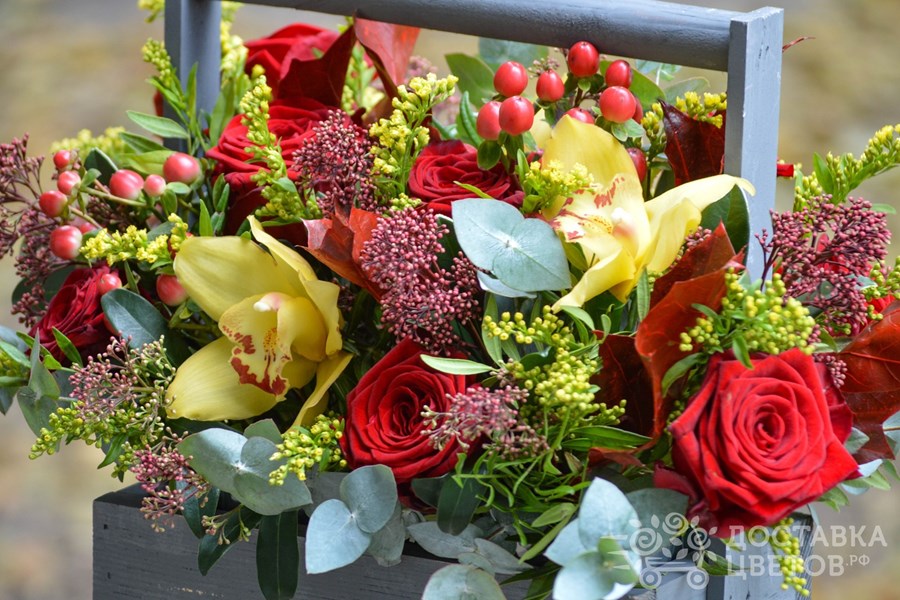 Цветы в ящике Осенний вечер