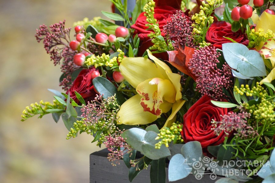 Цветы в ящике Осенний вечер