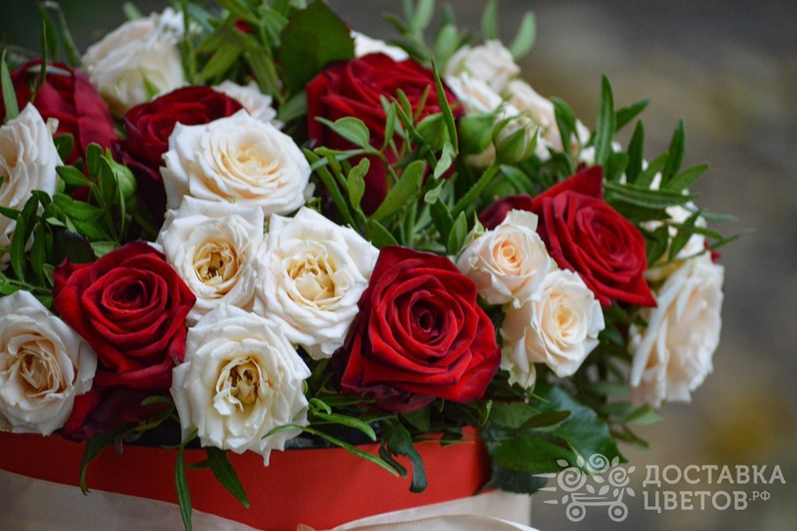 Цветы в коробке Абстракция