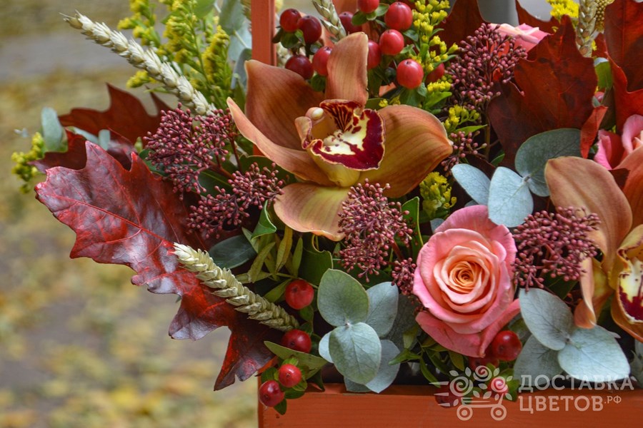 Цветы в ящике Осенний хоровод