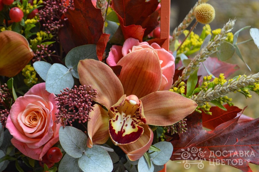 Цветы в ящике Осенний хоровод