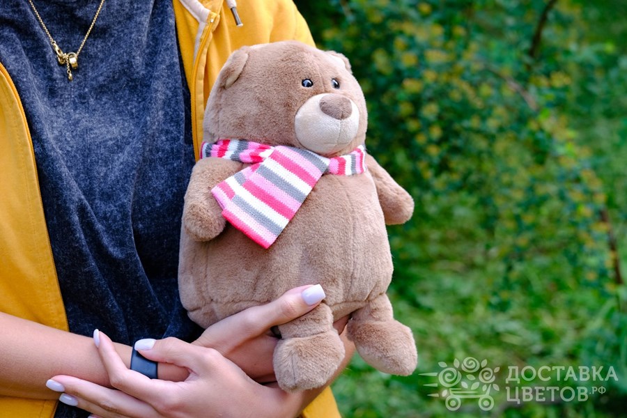 Мягкая игрушка Мишка Бигги