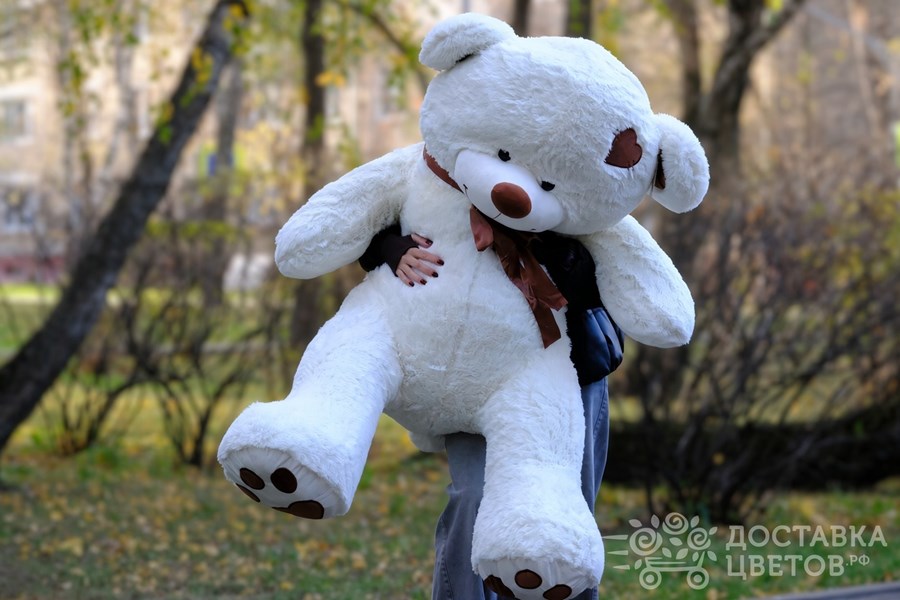 Мягкая игрушка Мишка Тони