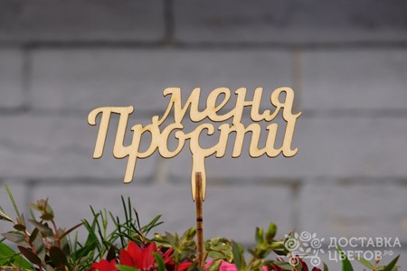 Топпер "Прости меня"