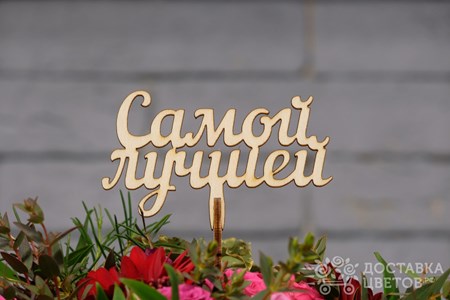 Топпер "Самой лучшей"