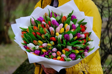 Букет из 101 тюльпана "Разноцветные тюльпаны в пленке"