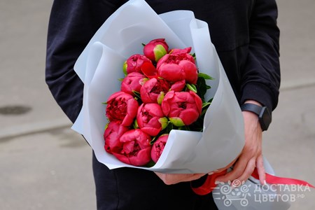 Букет из 11 красных пионов в пленке "Красные пионы"