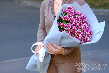 Букет из 11 кустовых хризантем в пленке "Бордовые кустовые хризантемы в пленке"