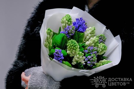 Букет из 15 гиацинтов "Бело-синие гиацинты"