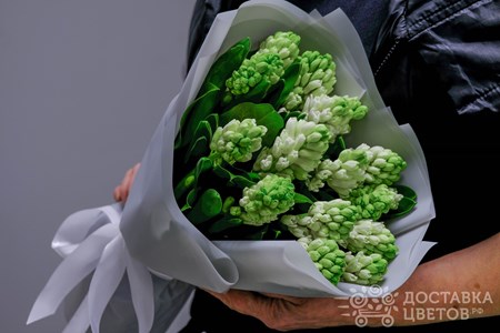 Букет из 15 гиацинтов в пленке "Белые гиацинты"