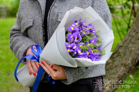 Букет из 15 ирисов с зеленью в пленке "Синяя волна"