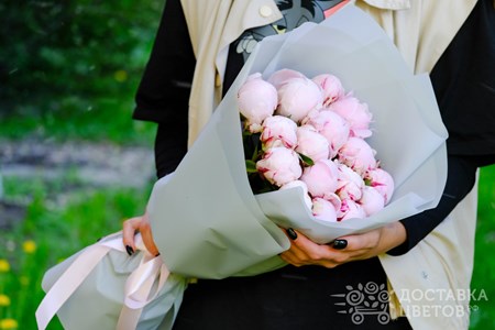 Букет из 15 розовых пионов в пленке "Розовые пионы"
