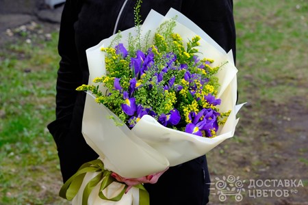 Букет из 15 синих ирисов с зеленью "Весеннее тепло"