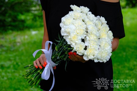 Букет из 25 гвоздик "Белые гвоздики"