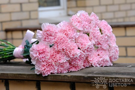 Букет из 25 гвоздик "Розовые гвоздики"