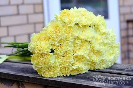 Букет из 25 гвоздик "Желтые гвоздики"