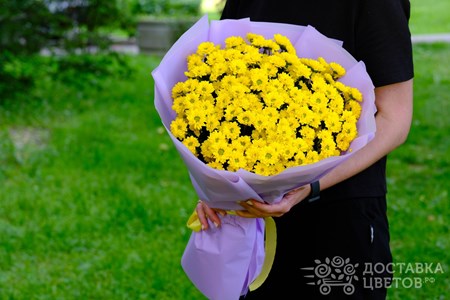 Букет из 25 хризантем в пленке "Сантини желтые"