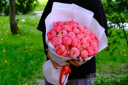 Букет из 25 коралловых пионов в пленке "Коралловые пионы"