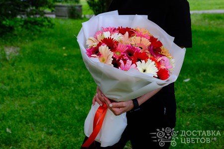 Букет из 25 разноцветных гербер в пленке "Разноцветные герберы в пленке"