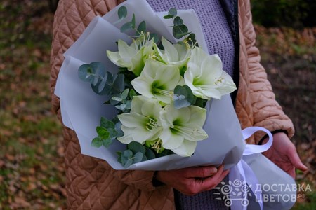 Букет из 3 амариллисов с эвкалиптом "Белые амариллисы"