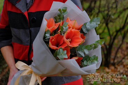 Букет из 3 амариллисов с эвкалиптом "Персиковые амариллисы"