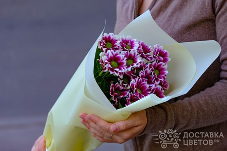 Букет из 3 кустовых хризантем в пленке "Бордовые кустовые хризантемы в пленке"