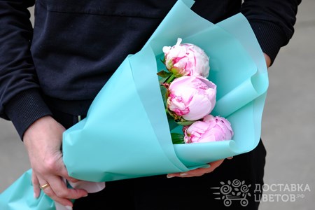 Букет из 3 розовых пионов в пленке