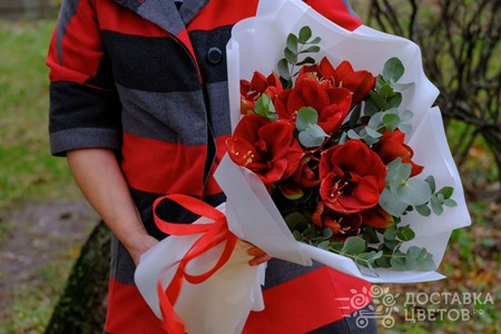 Букет из 5 амариллисов с эвкалиптом "Красные амариллисы"