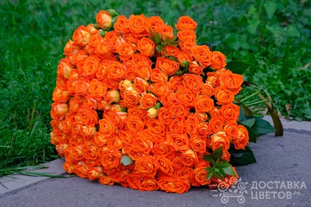 Букет из 51 кустовой розы "Оранжевая кустовая роза"