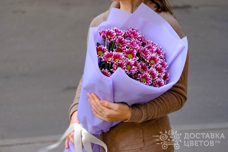 Букет из 7 кустовых хризантем в пленке "Бордовые кустовые хризантемы в пленке"