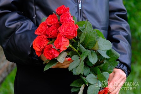 Букет из 9 алых роз "Эль Торо"