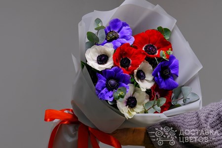 Букет из 9 анемонов "Разноцветные анемоны"