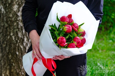 Букет из 9 красных пионов в пленке "Красные пионы"